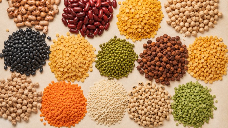 Guide to Pulse Varieties